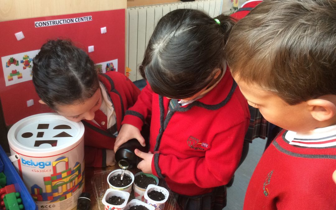 Logos School Garden – Ecoescuela