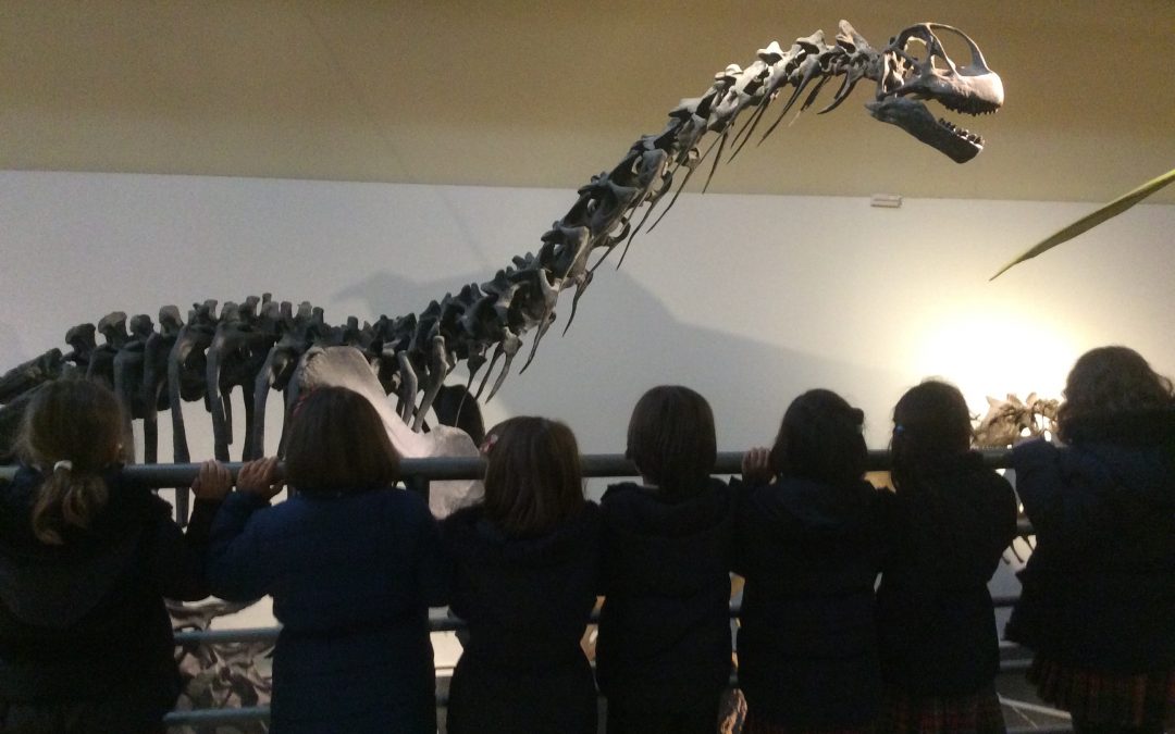 Learning at the Natural Science Museum – Museo Ciencias Naturales