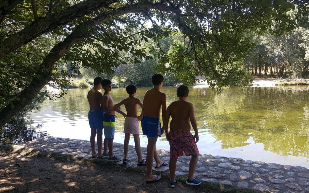 Summer camp in Madrid: advantages of going camping